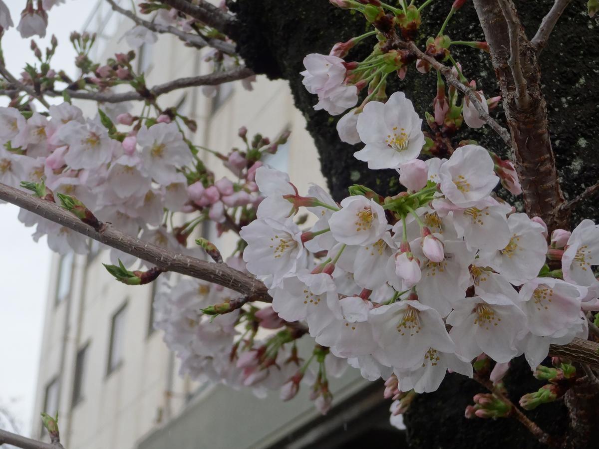 Hamakita Plaza Hotel Hamamatsu Luaran gambar